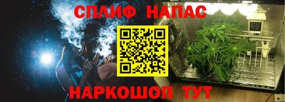 jwh Камышлов