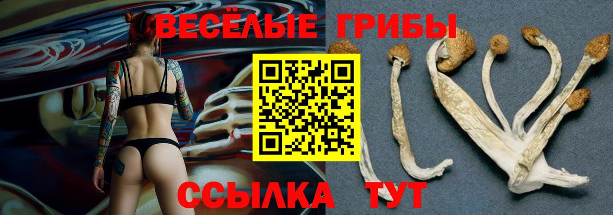 Псилоцибиновые грибы ЛСД Котельники