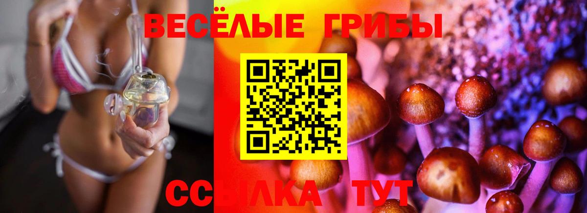 Галлюциногенные грибы Cubensis  Вход с VPN  Котельники 